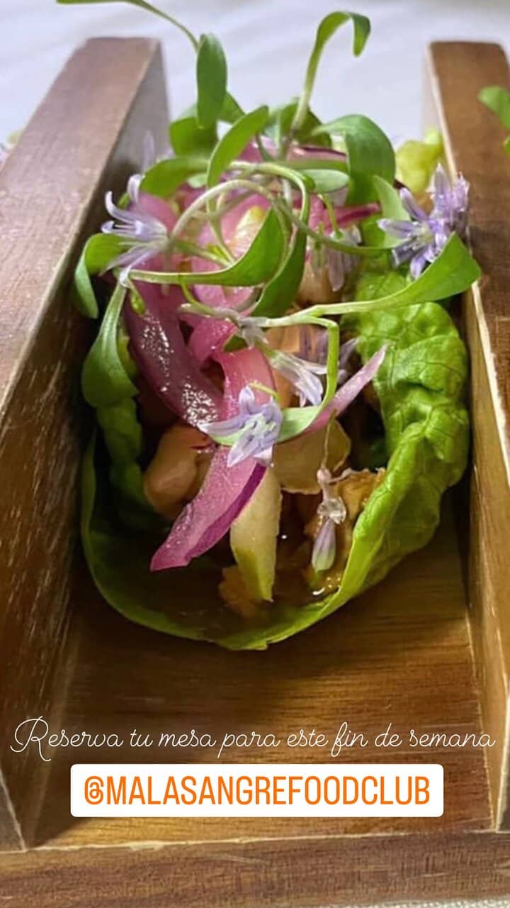 Unique and Theatrical Decor