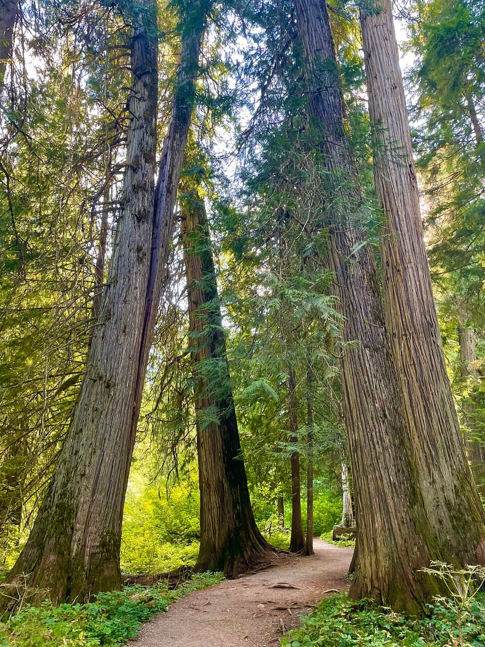 These are small compared to some