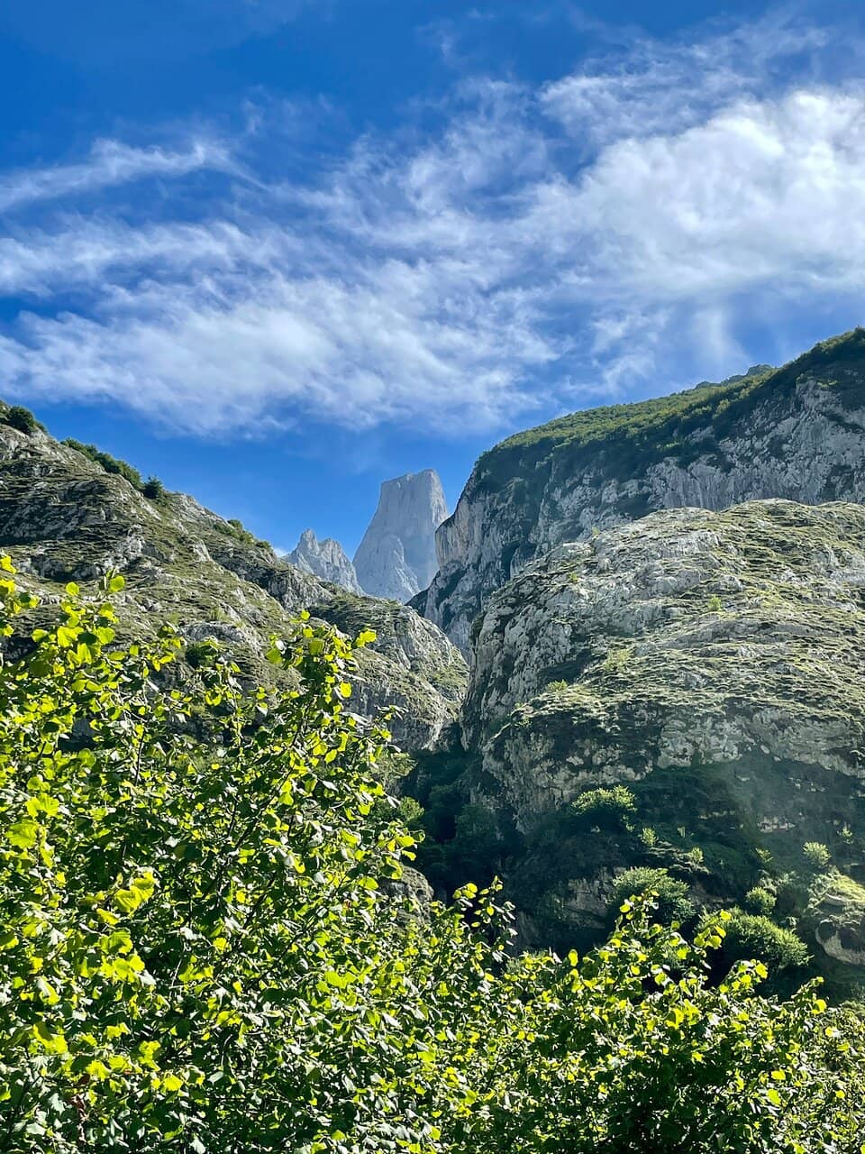 Panoramic Mountain Scenery