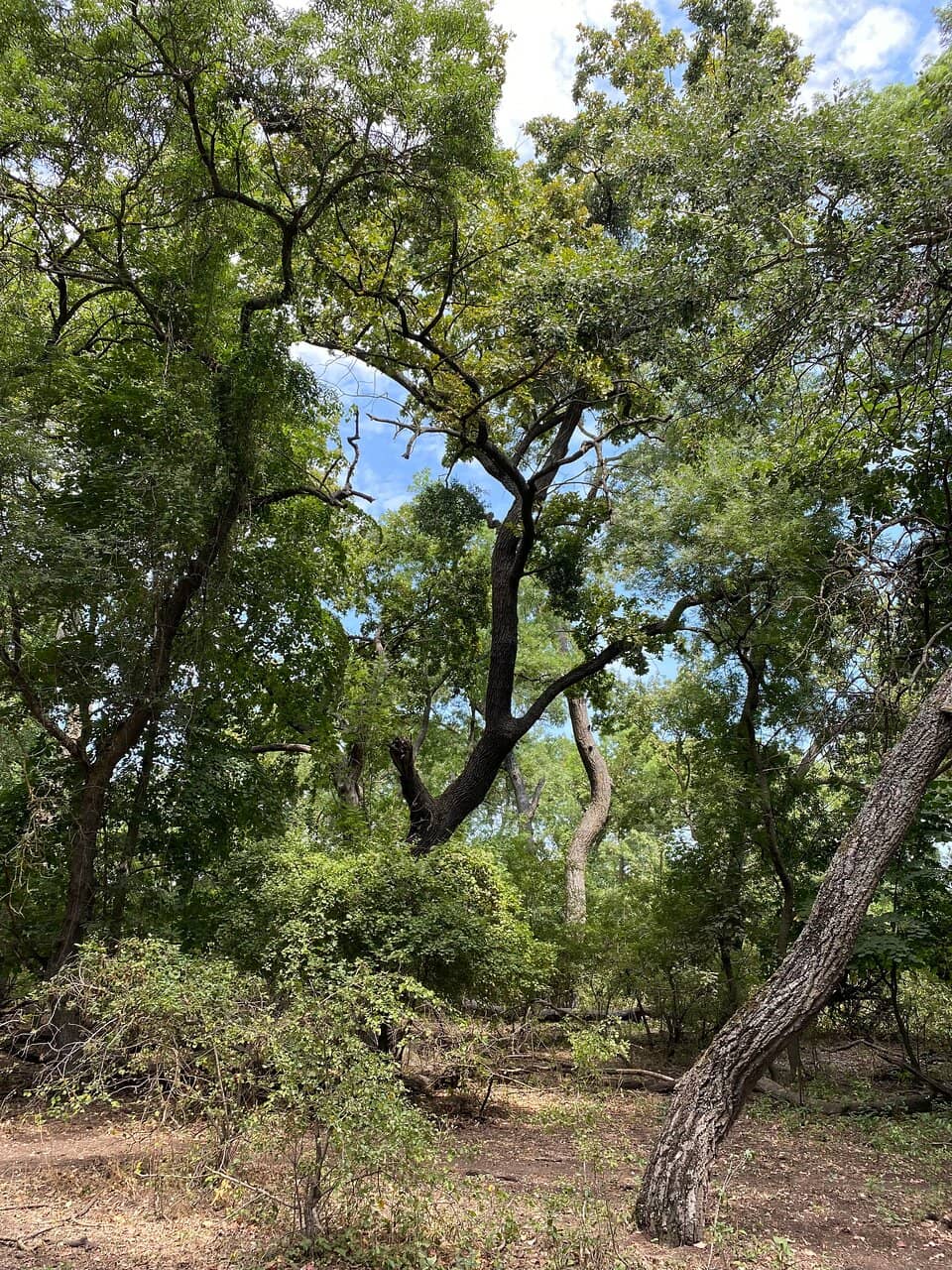 Vertical photo
