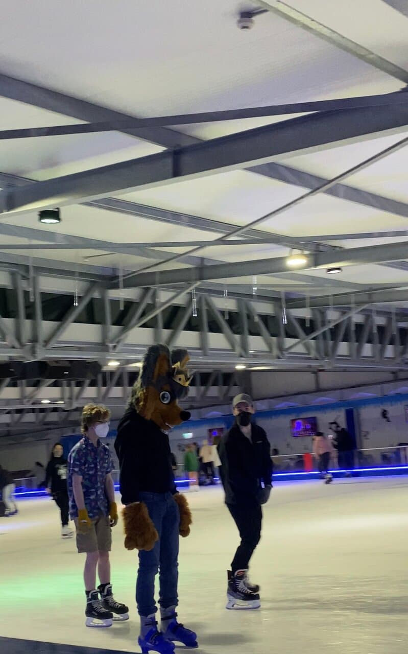 Go Ice Skating