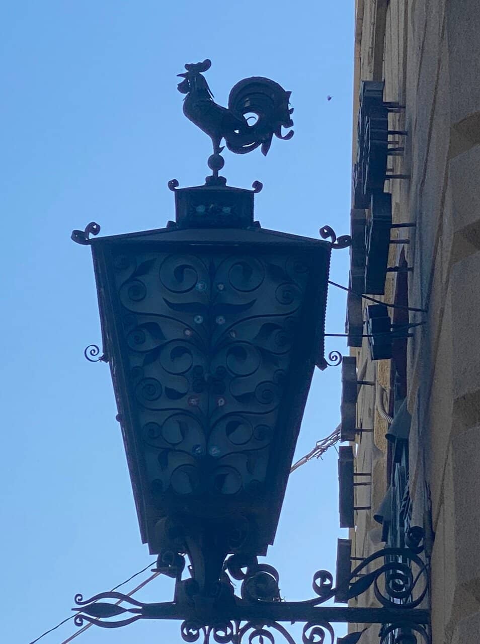 Vertical photo