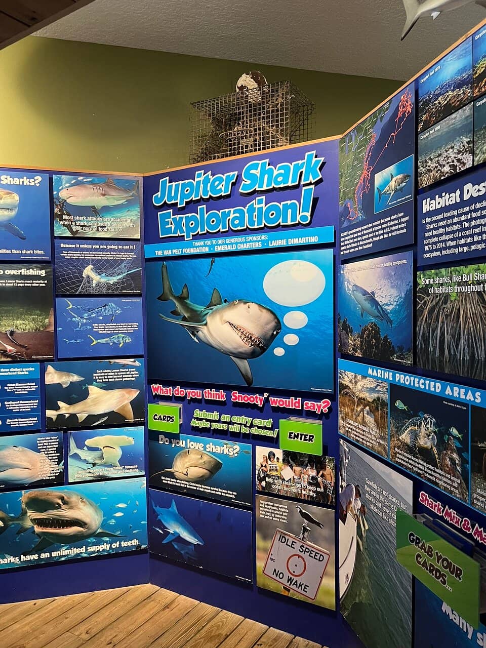 Aquarium Exhibits