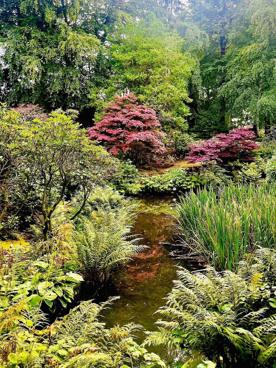 “Season of mists and mellow fruitfulness.” -John Keats