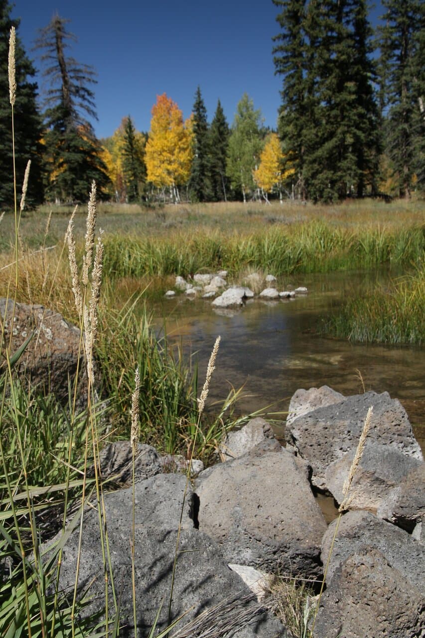 So beautiful and easy for everyone to enjoy. Walking paths. Areas to explore and nature beginning to show her colors!