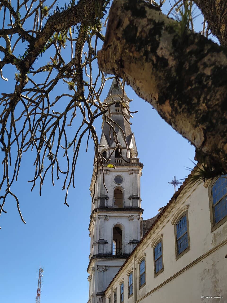Vertical photo