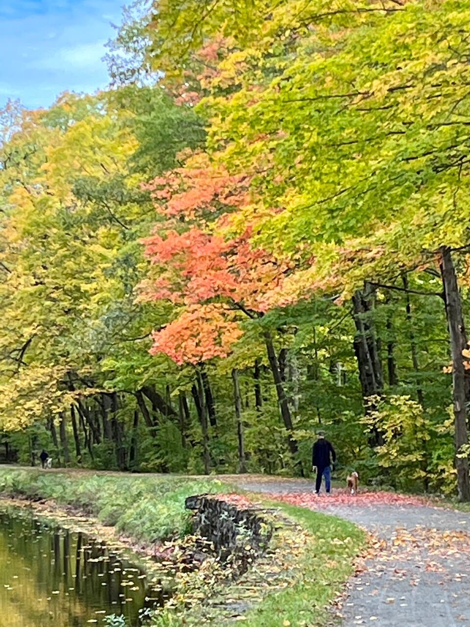 Starting at Overlook Park on canal path