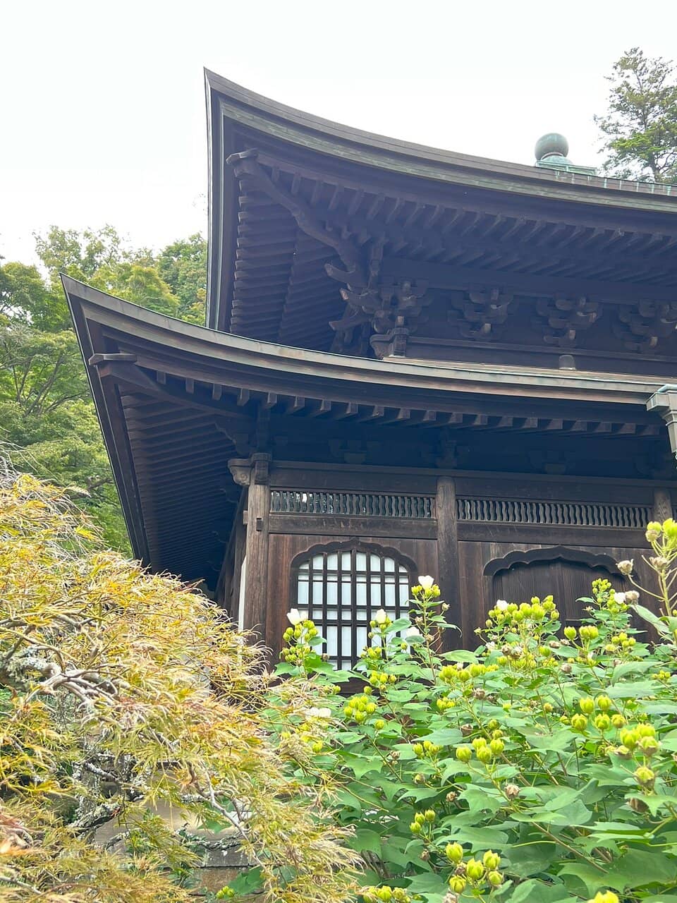 Zen Gardens
