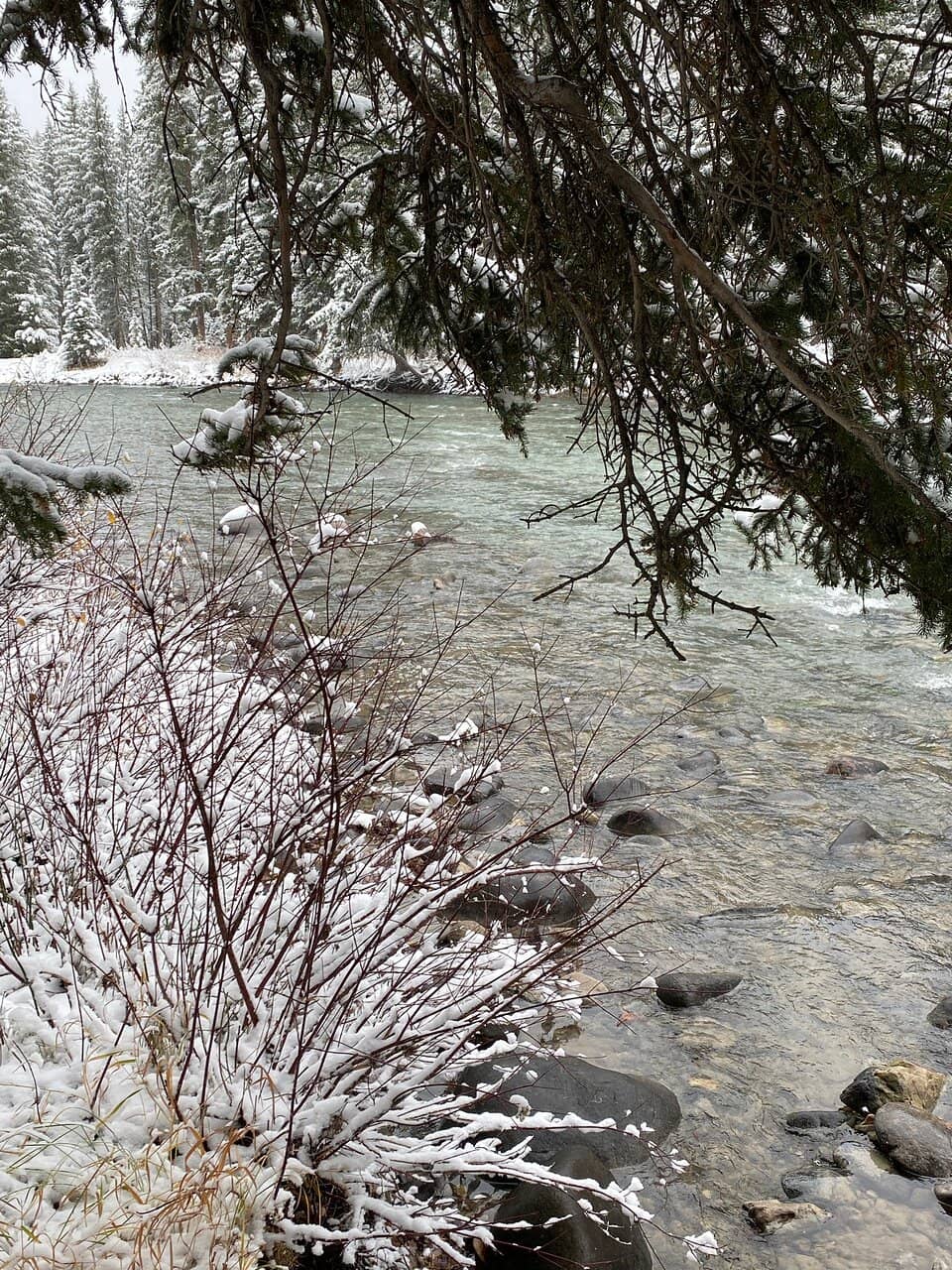 Gallatin River Scenic Drive