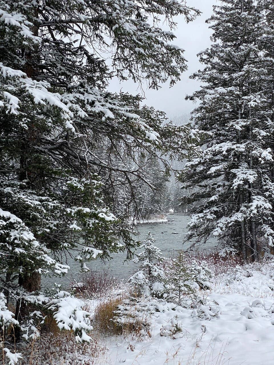 Gallatin River Lodge