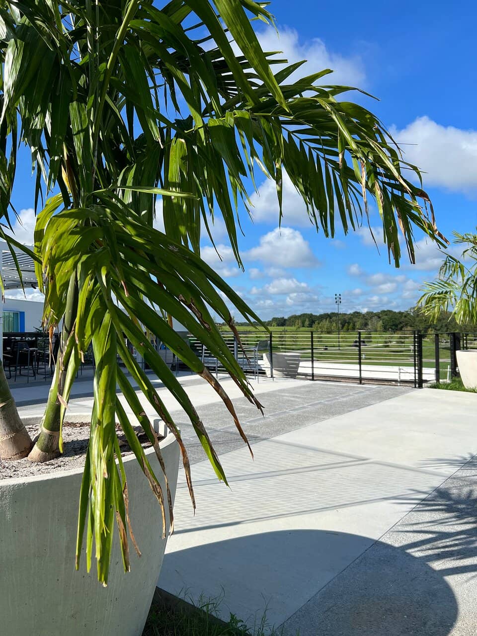 Crenshaw Canopy Walk