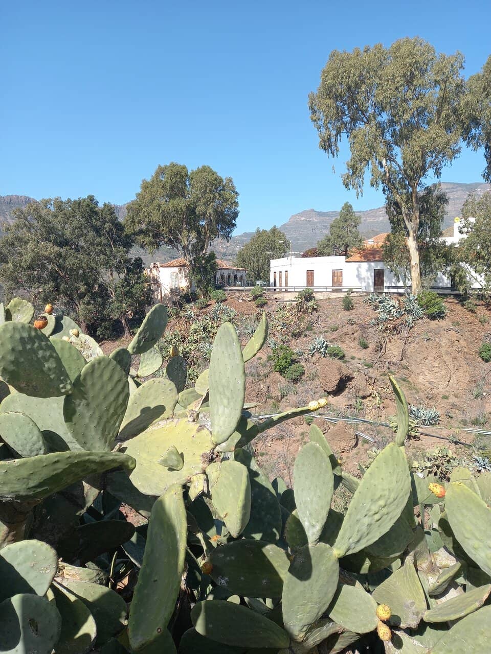 Surrounding Park