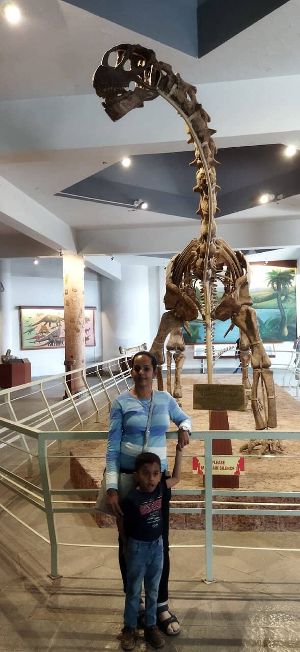 Dinosaurium