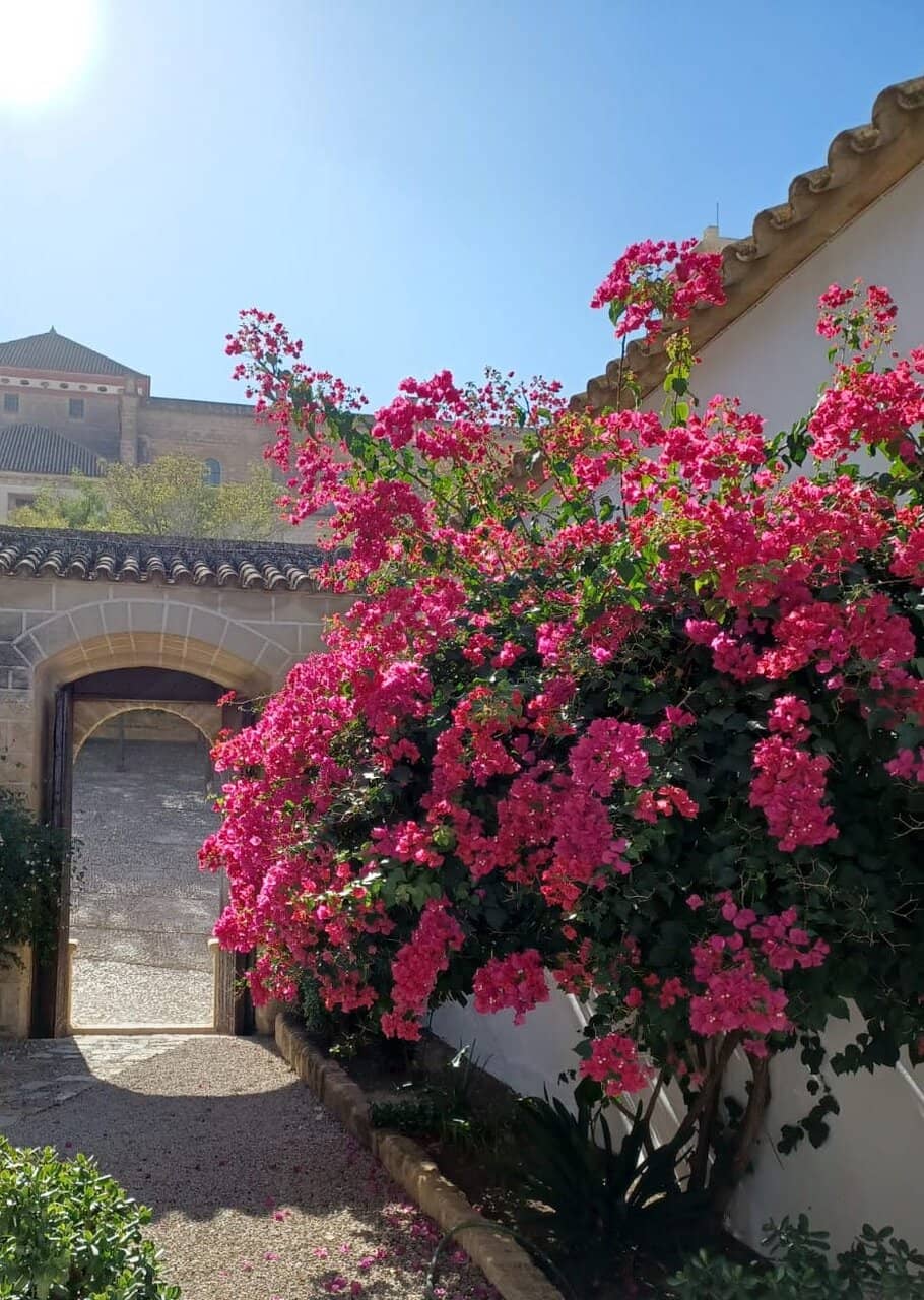 Religious Art Collection