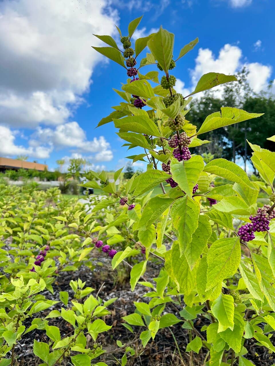 Nature Trails & Gardens