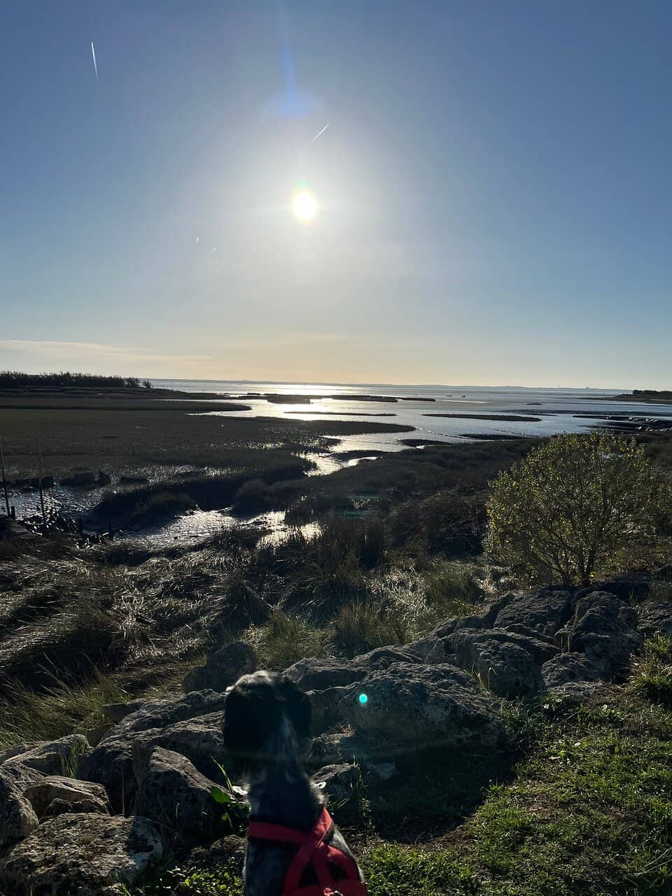 Scenic Walking Trails