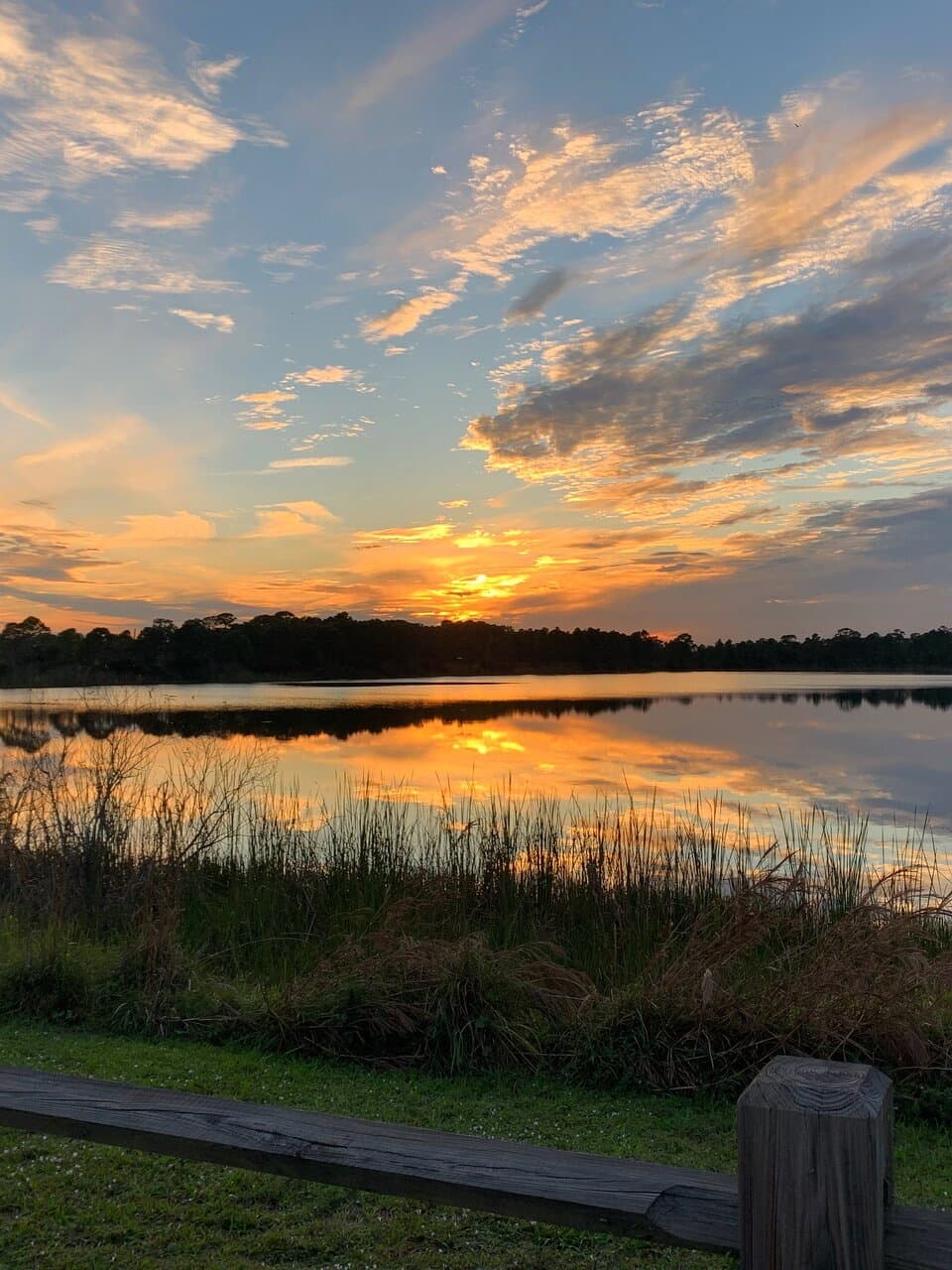 George LeStrange Preserve at sunset