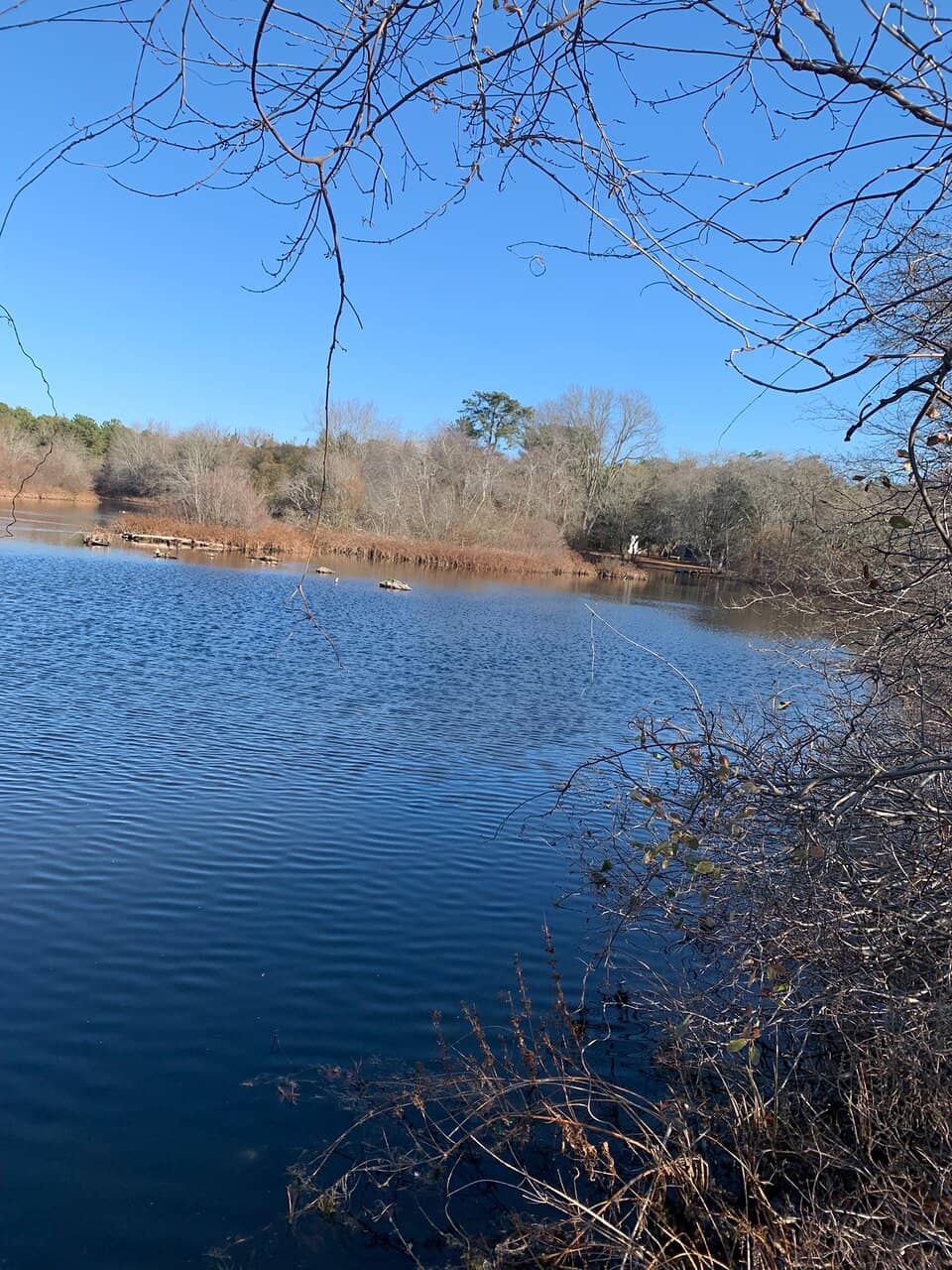 Nature Center Exhibits