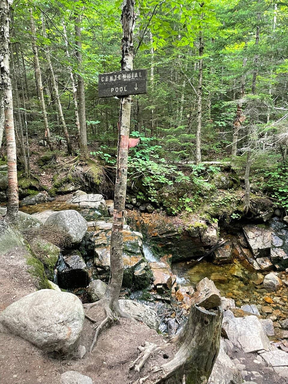 Crawford Notch Drive