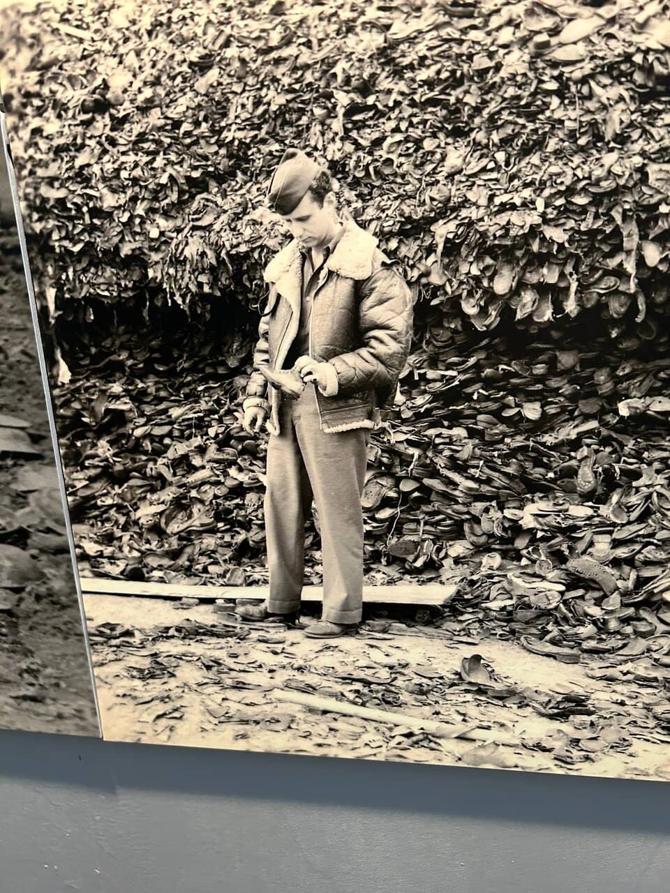 Genocides Beyond the Holocaust