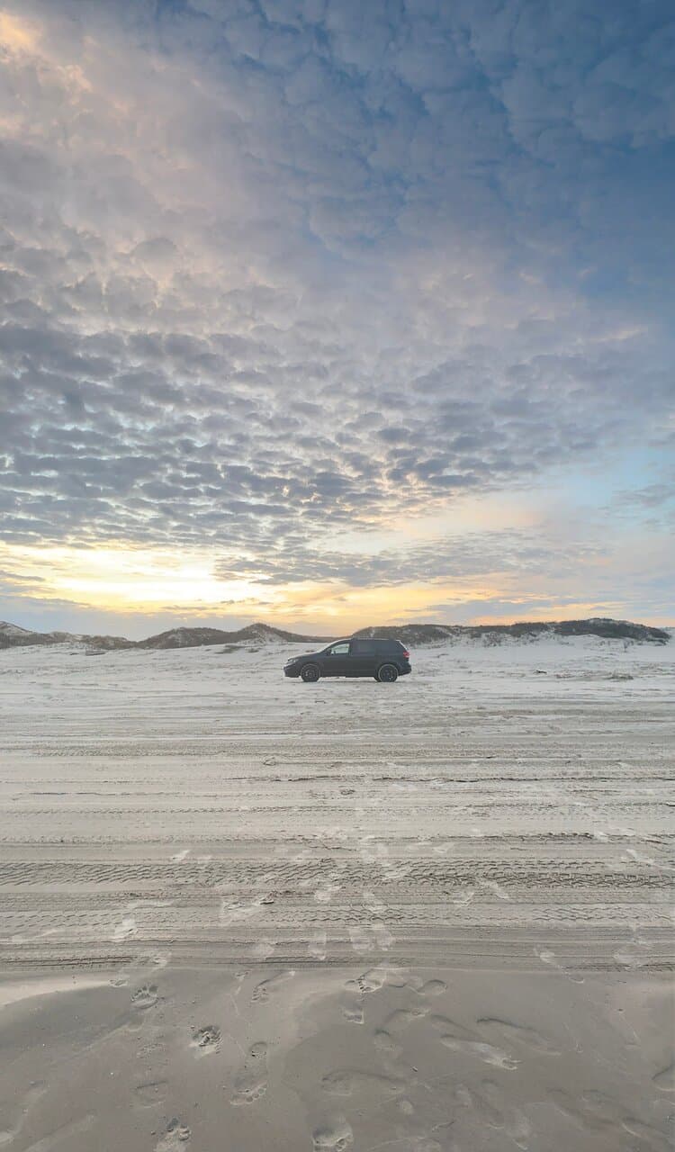 I took this photo while on the National Seashore in North Padre Island.
