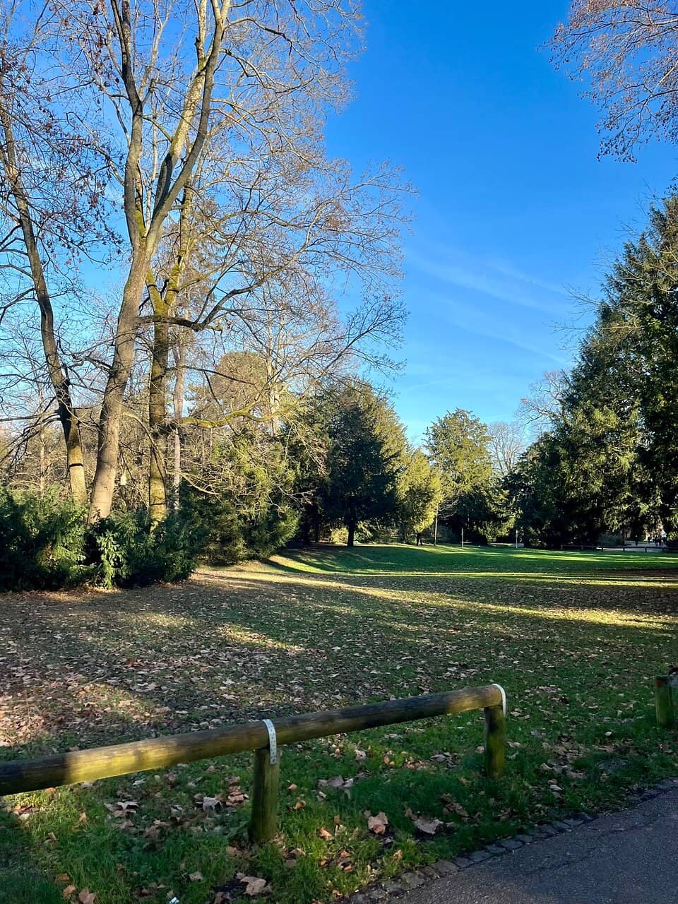 Expansive Green Spaces