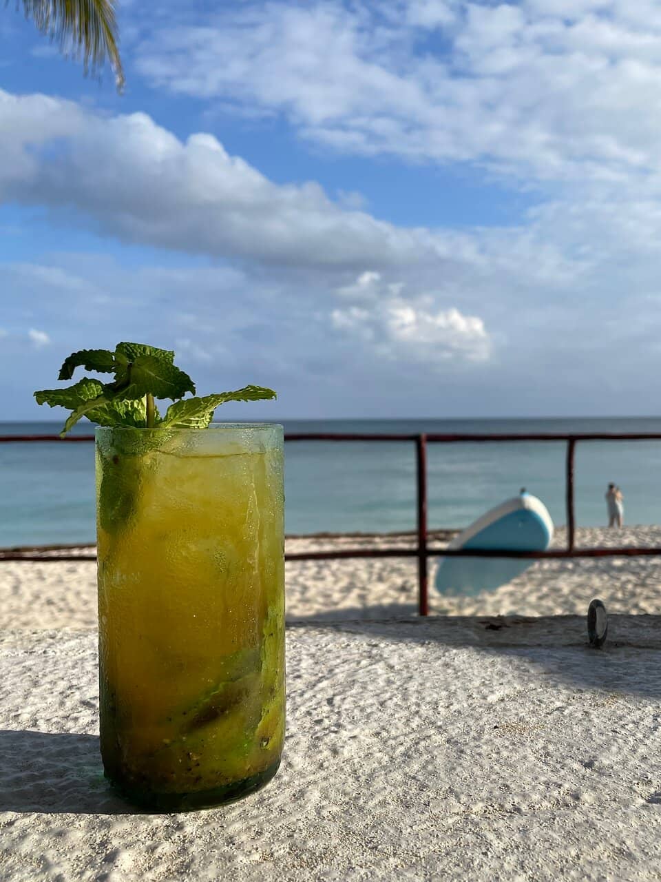 Sea Turtle Sanctuary