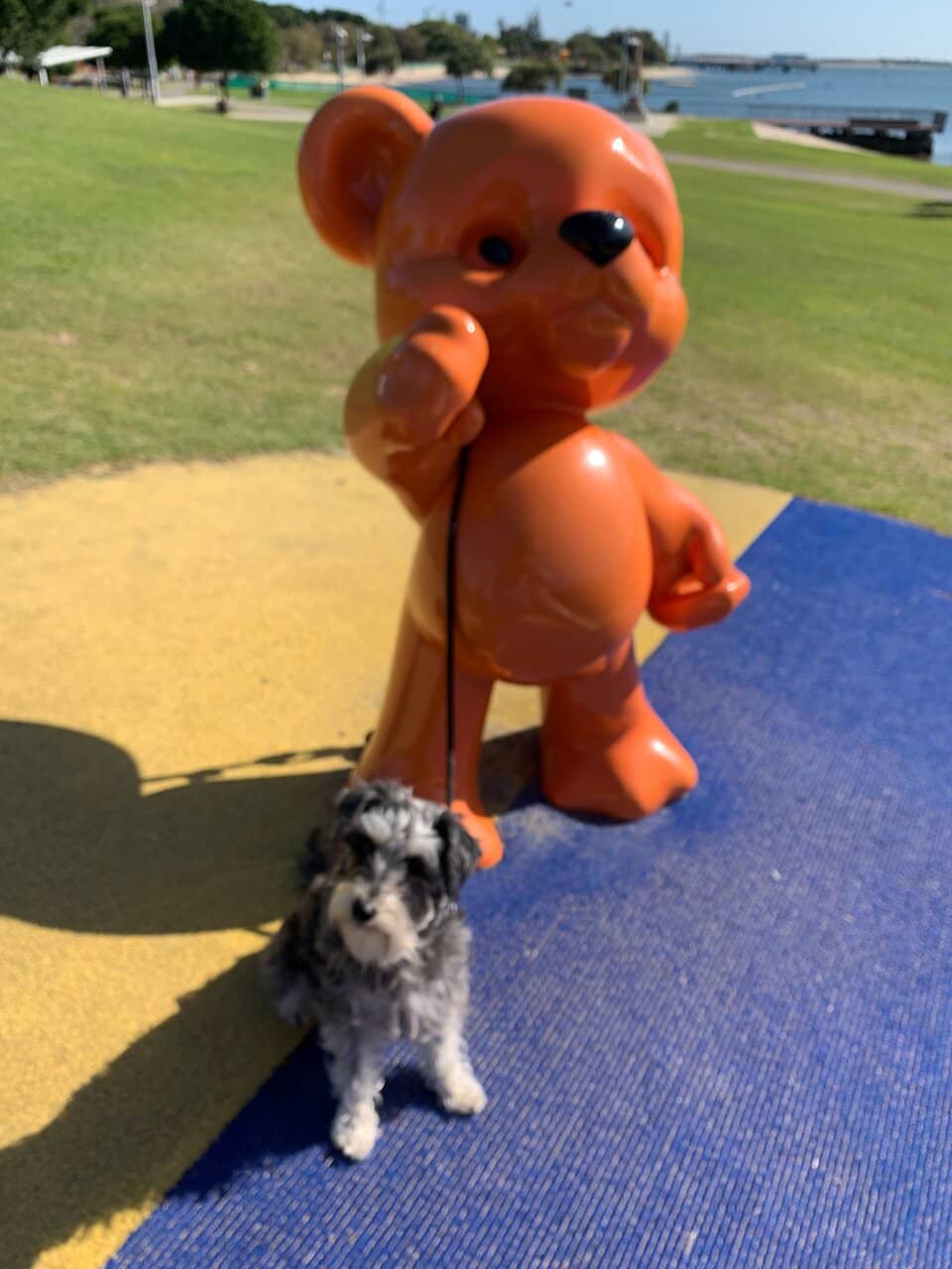 Playground Adventures