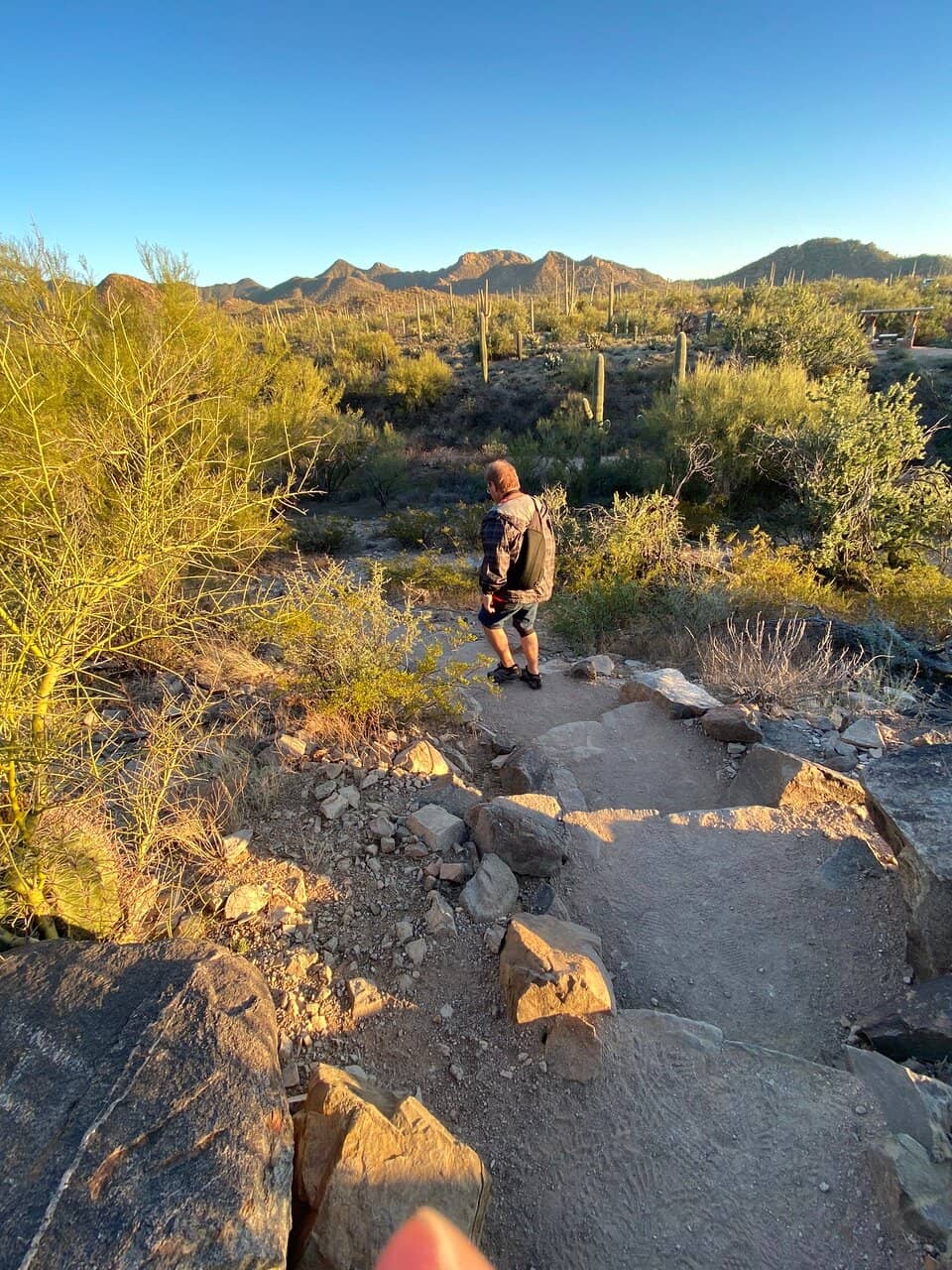 Ancient Hohokam Petroglyphs