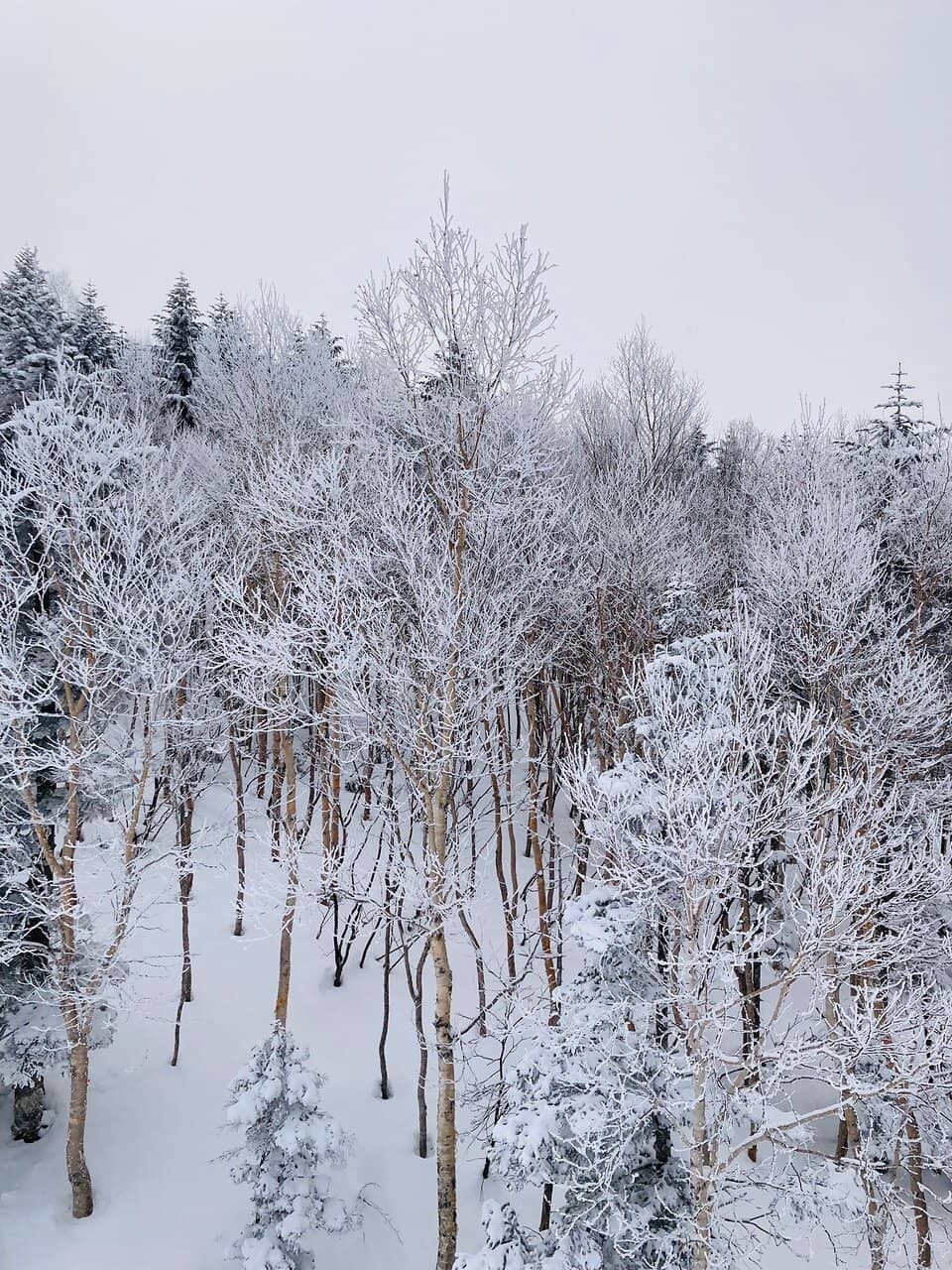 Extensive Ski Trails