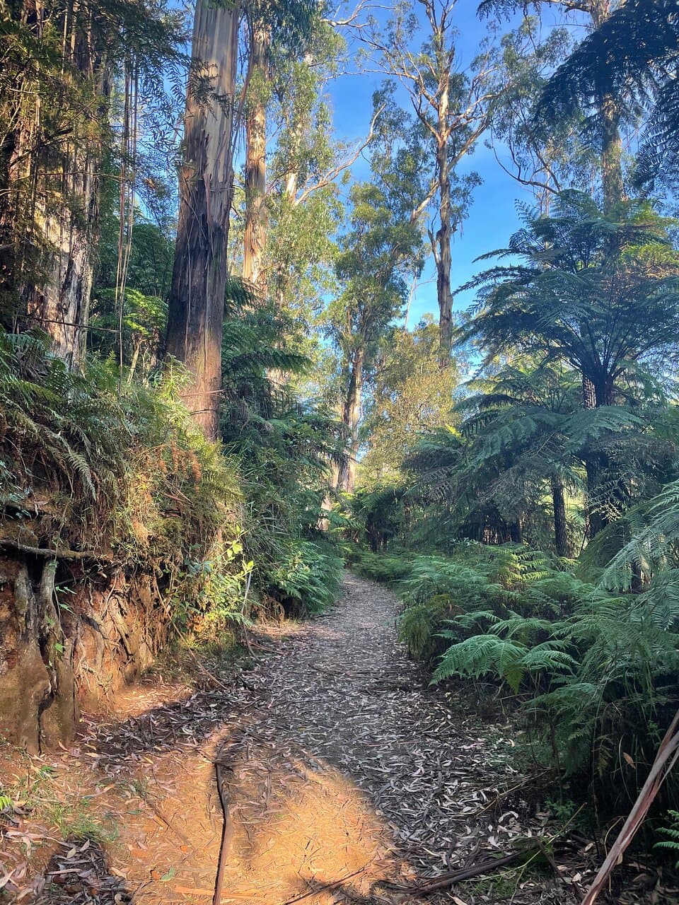 Badger Weir Picnic Area