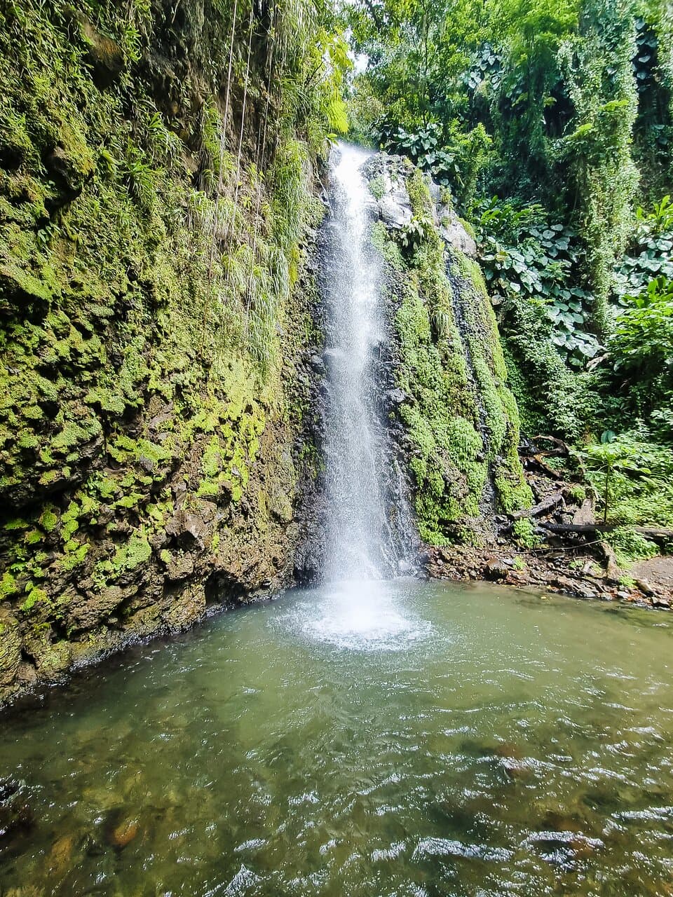 2nd fall at the top.