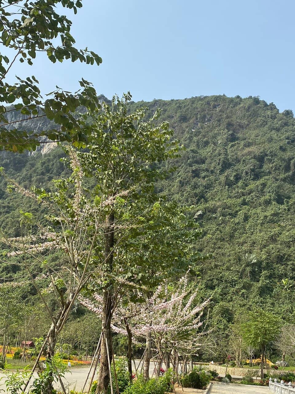 Serene Spiritual Ambiance