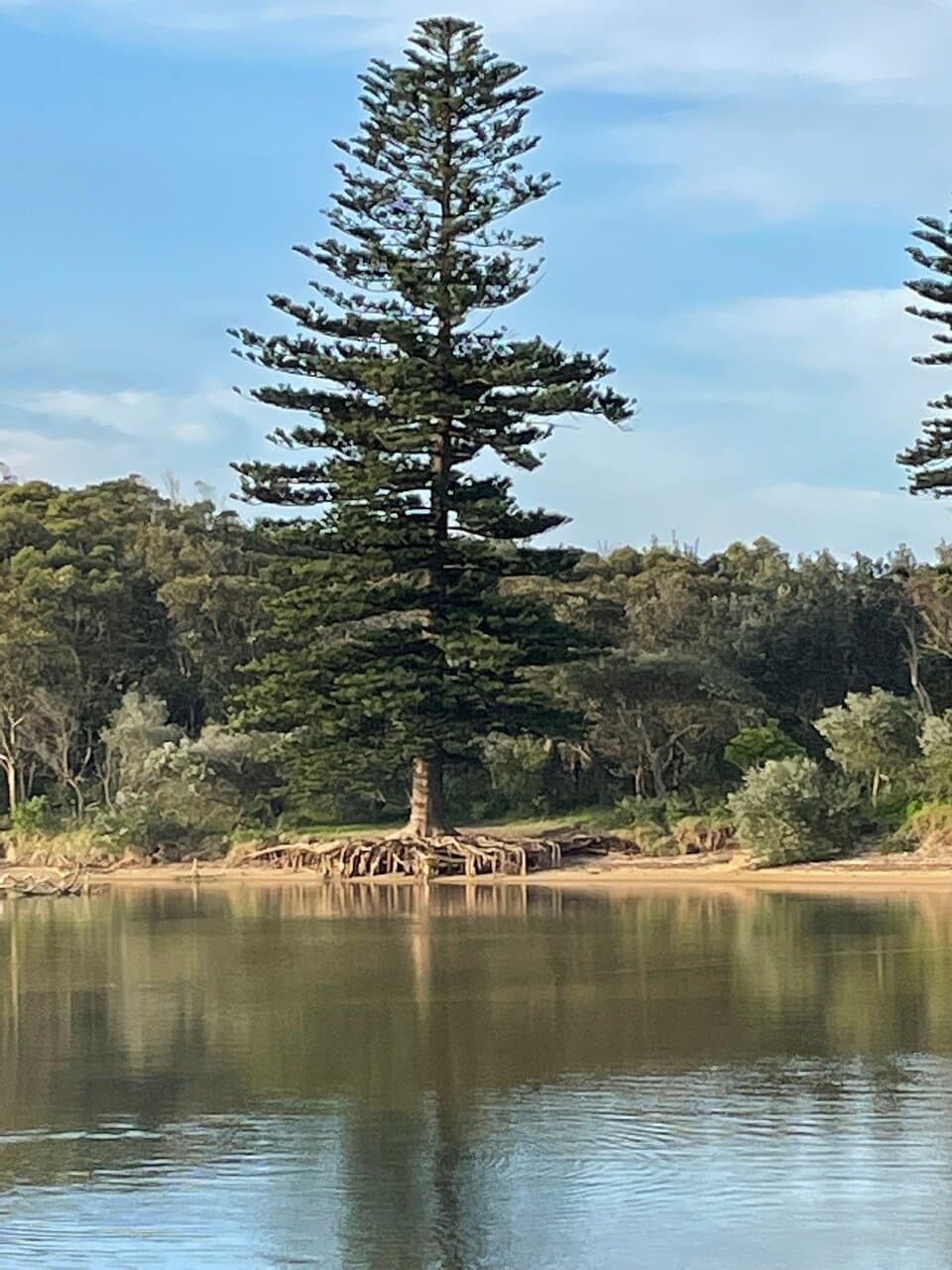 Stuart Park Wollongong - Lagoon  Great place to picnic with your kids  Kids can swim in the shallow waters  There is fresh running water, toilets  Playground for the kids   Great location, plenty of parking available