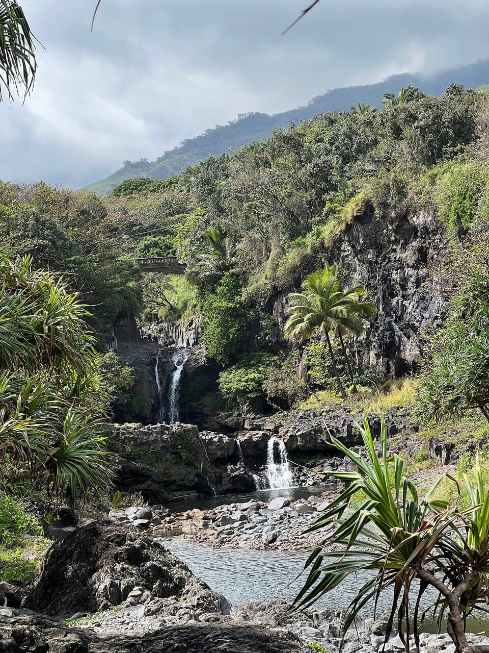 view from the short hike