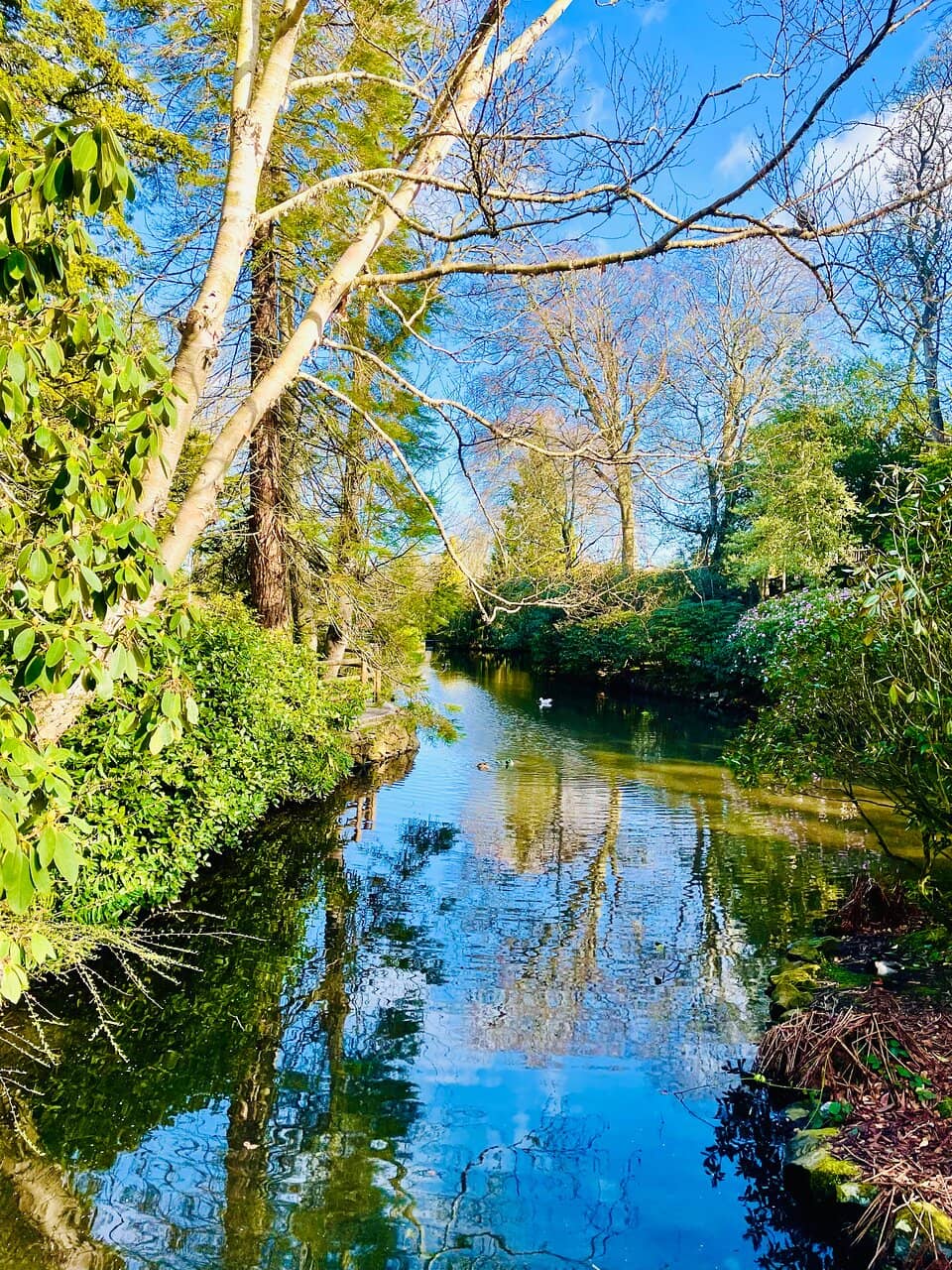 The Iconic Blue Bridge