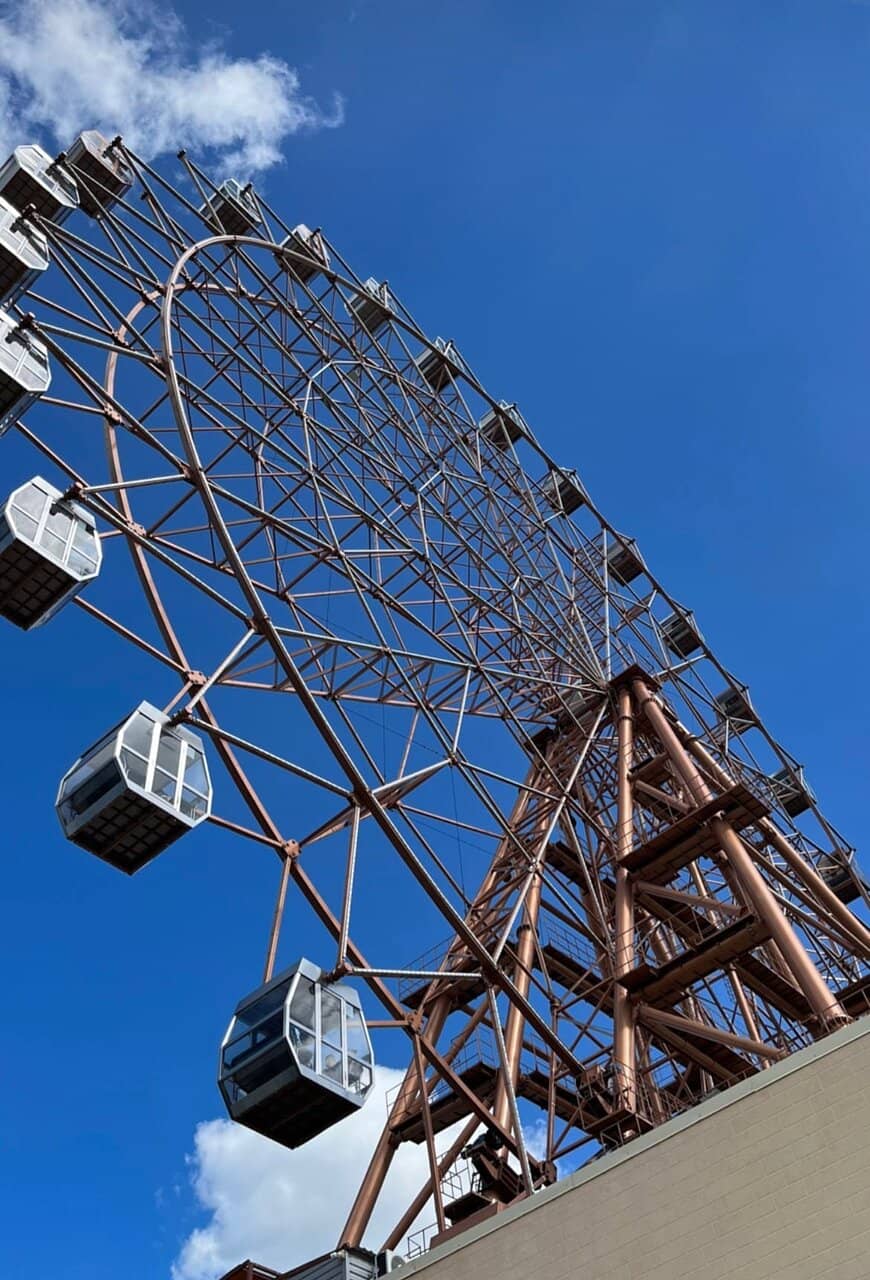 Ice Sculptures & Slides