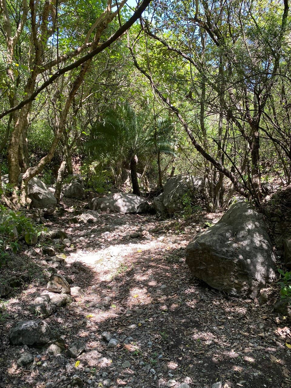 Leopard Preserve Zone