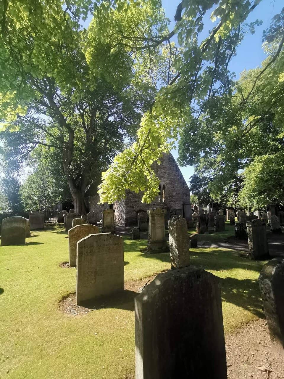 Robert Burns' Family Graves