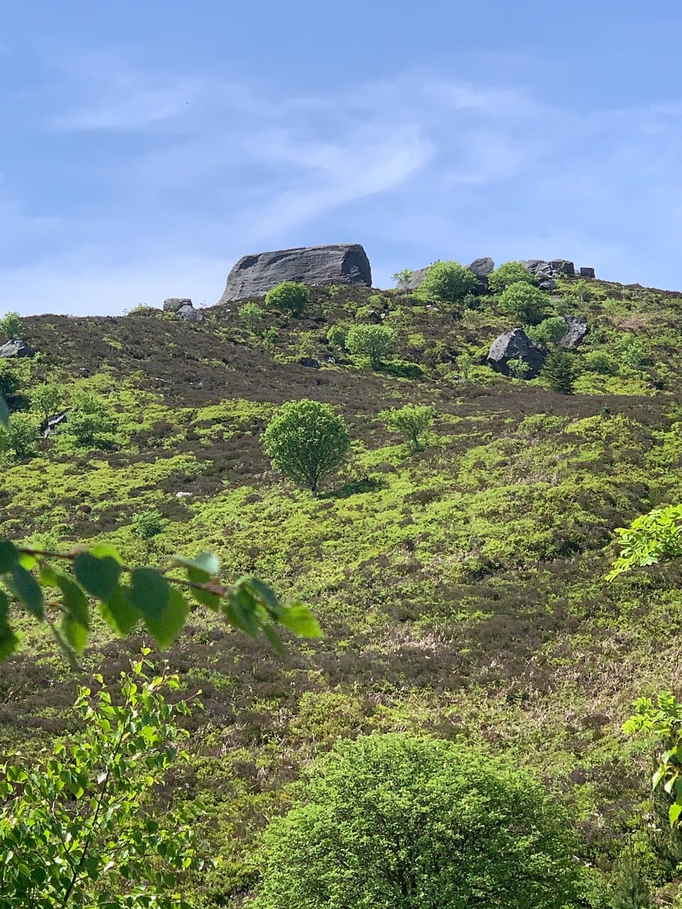 The Drake Stone Harbottle