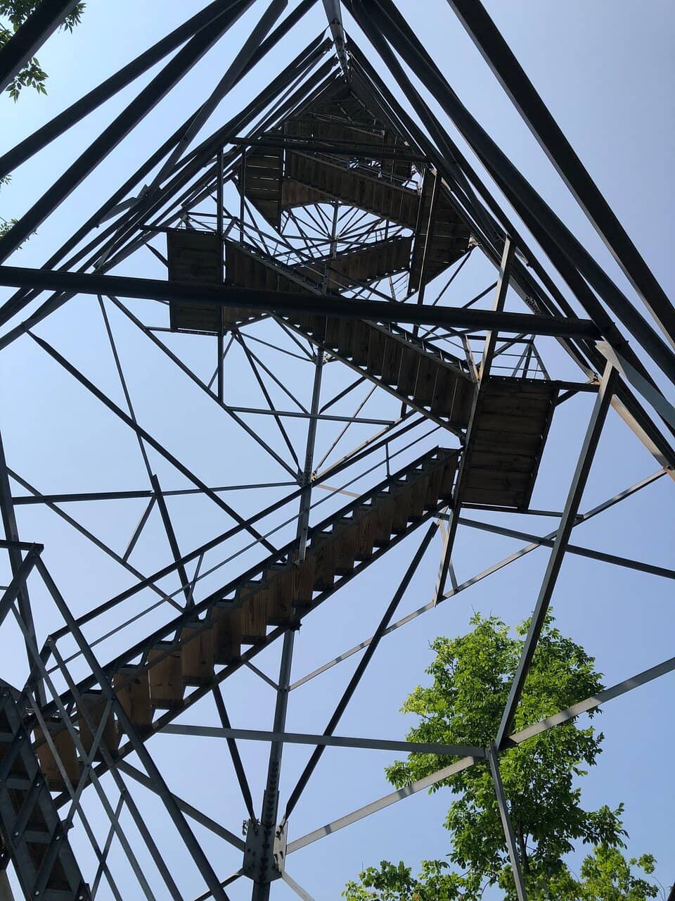 Vertical photo
