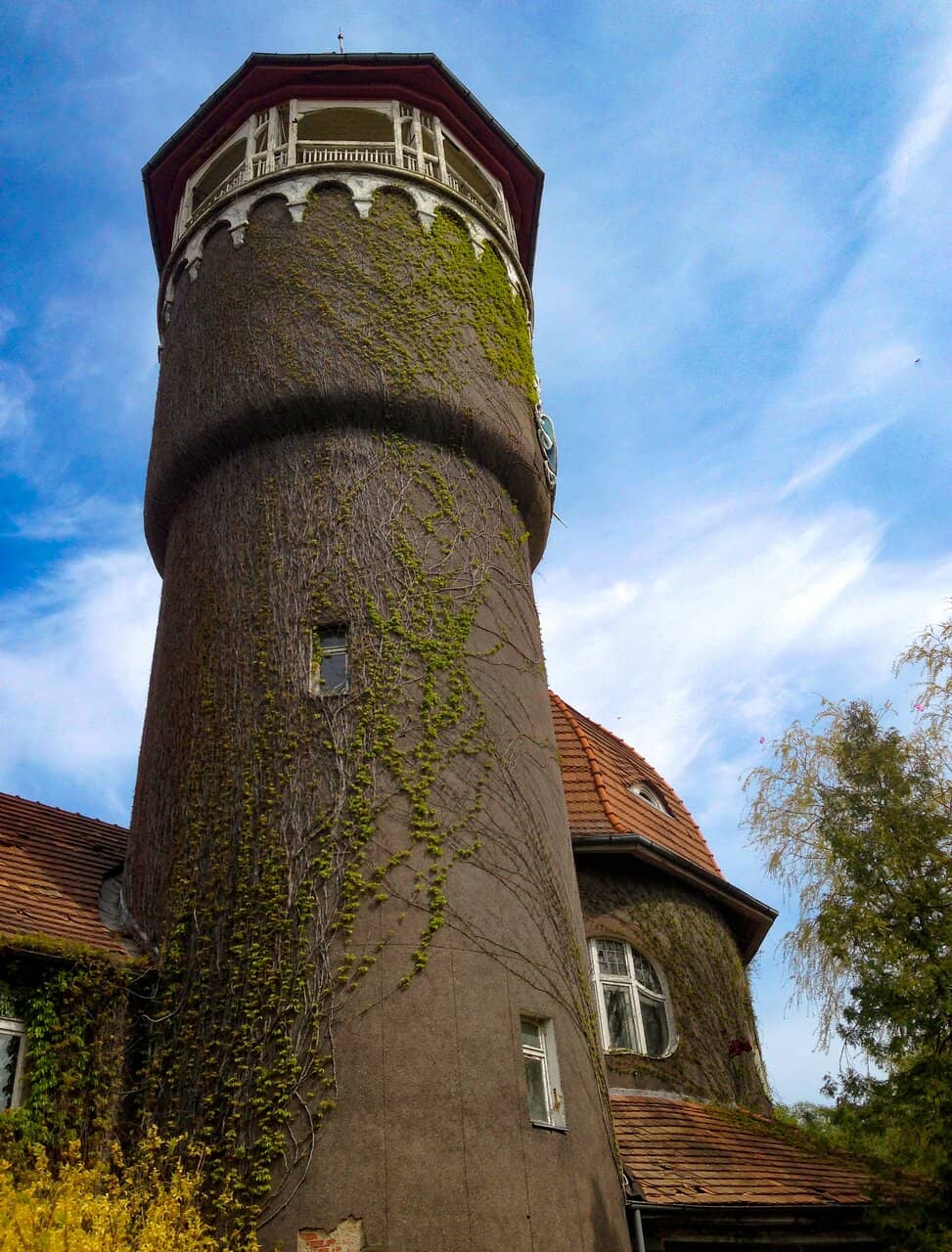 Vertical photo