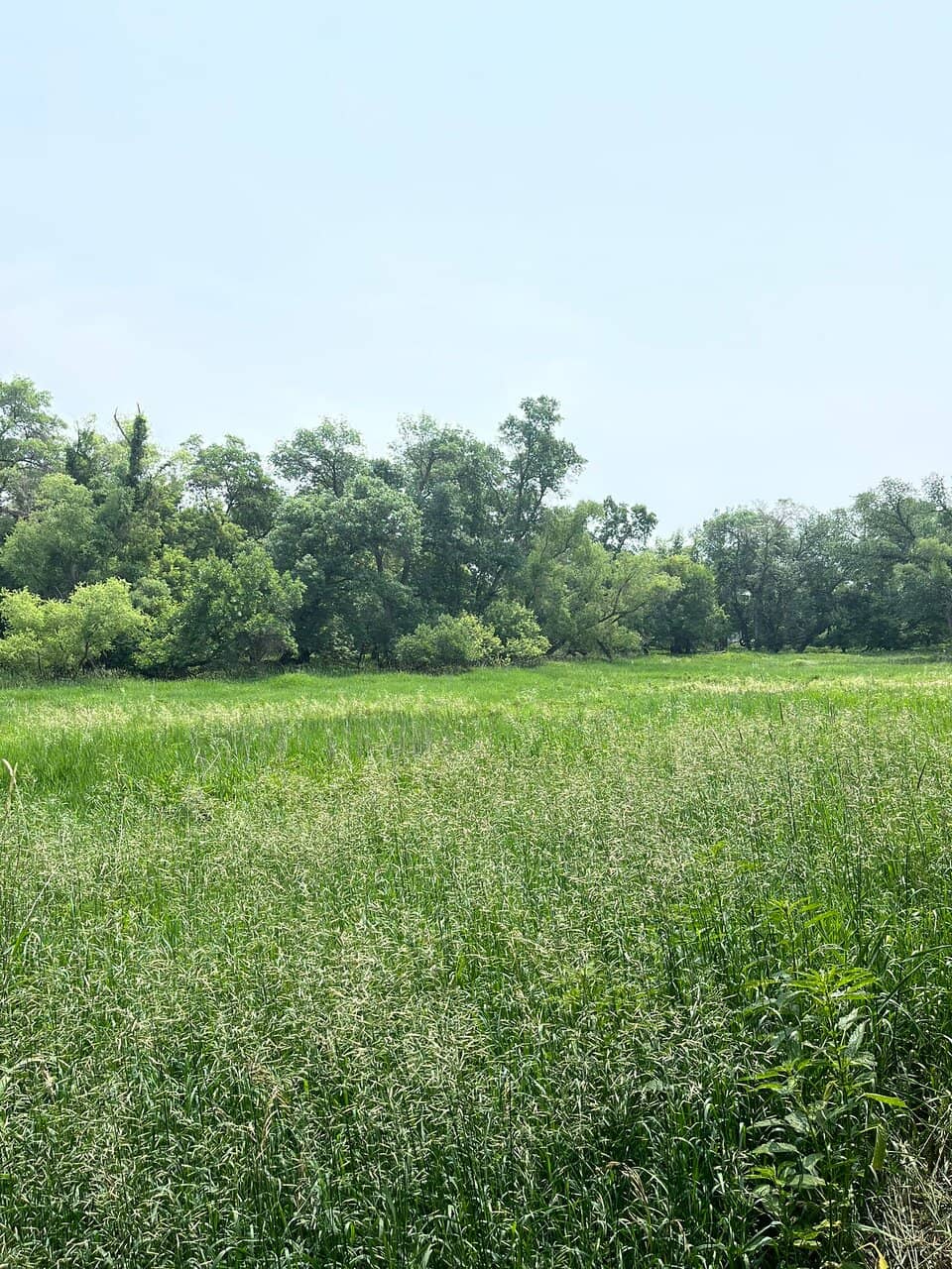 Extensive Hiking Trails