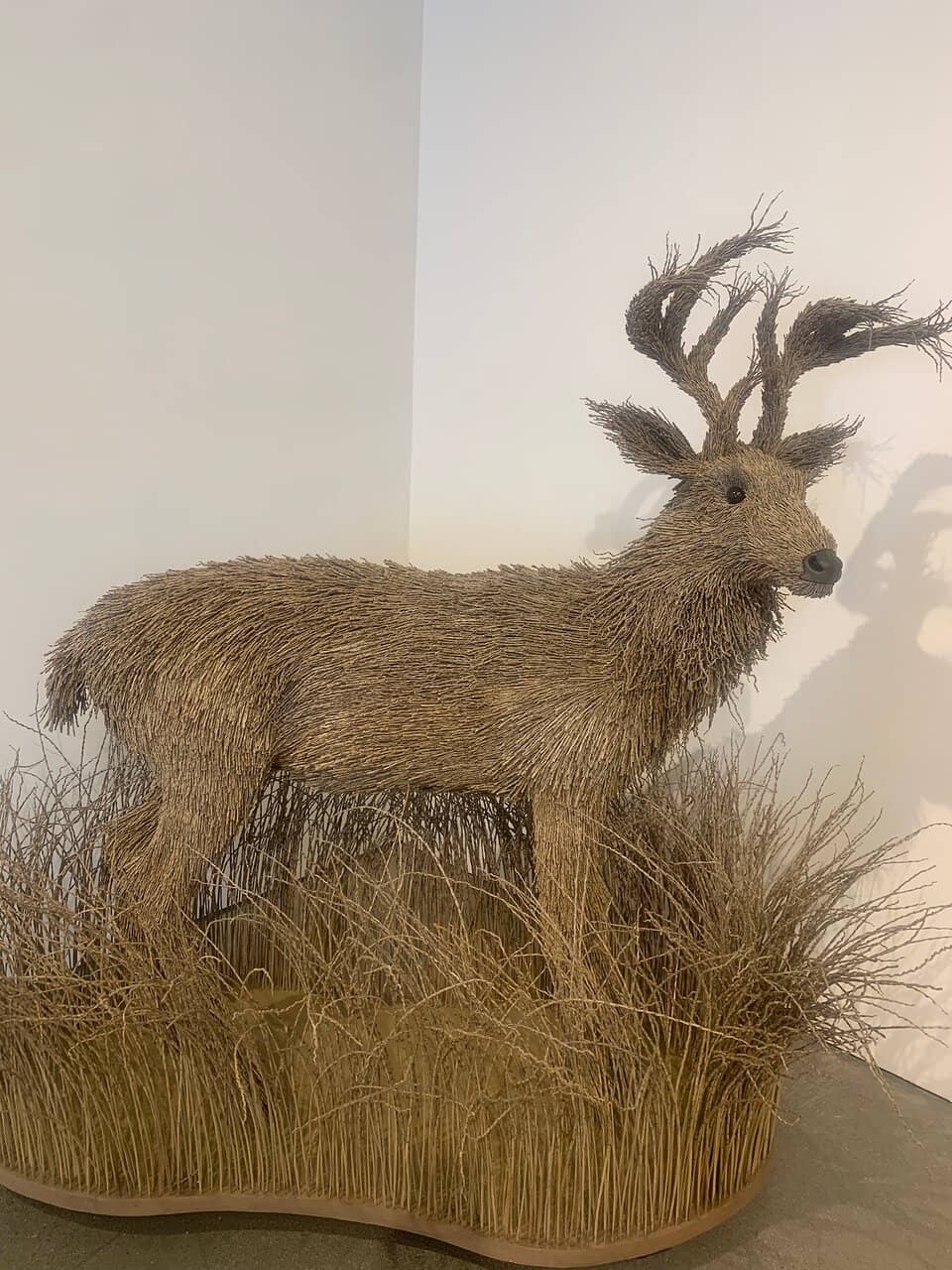 Contemporary Art Collections