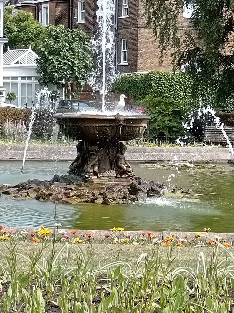 Vertical photo
