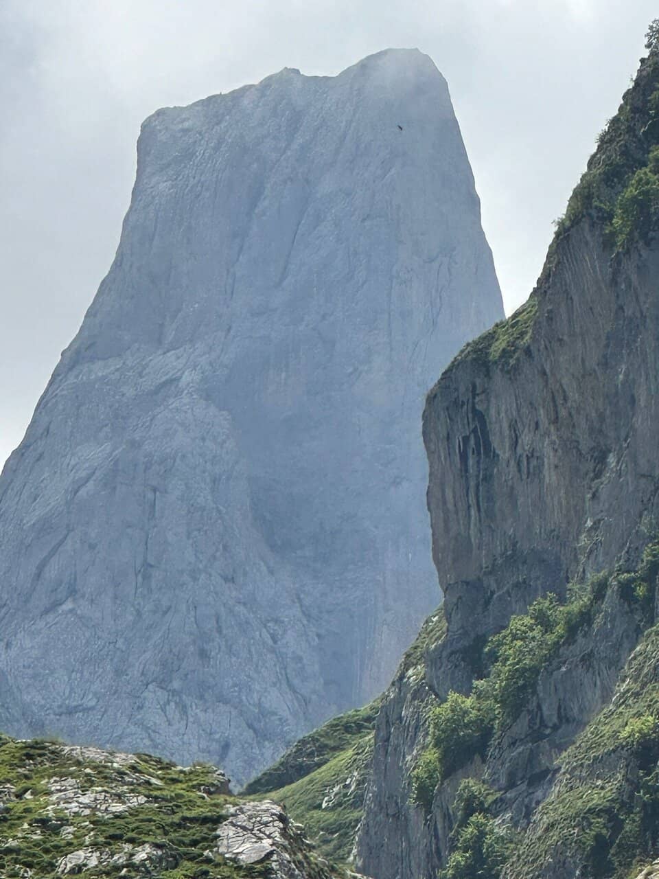 Vertical photo