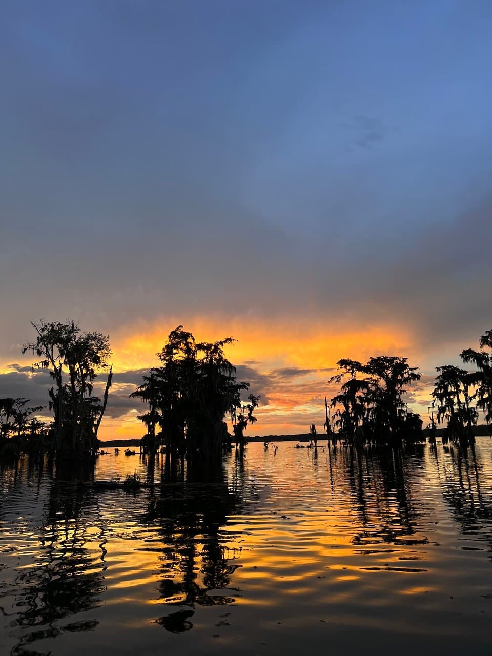 Swamptour photos taken @champagnes swamp tours