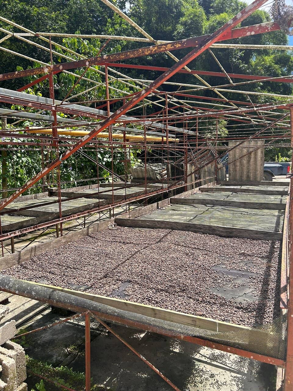 Sustainable Operations