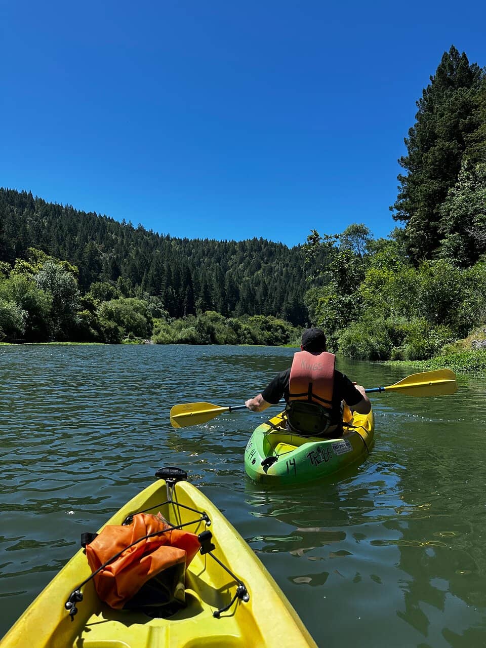Guerneville Charm