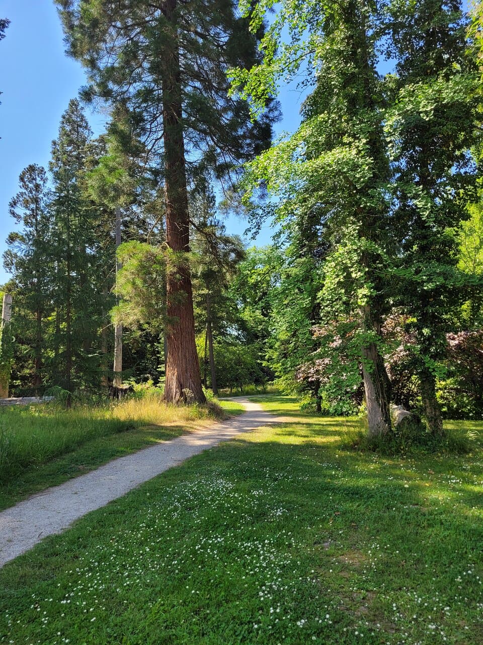 Forstbotanisk Have